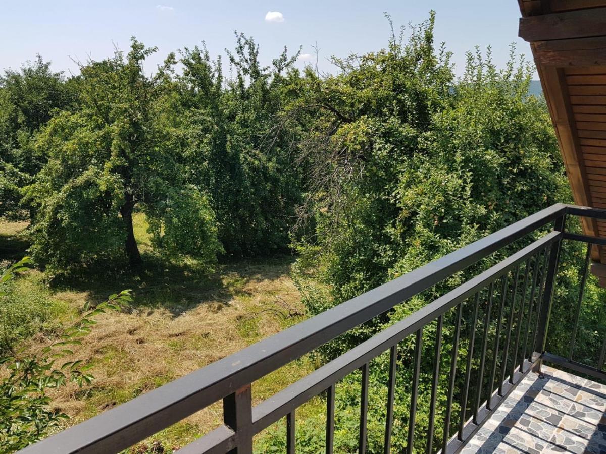 Green Nest Băneşti Exteriér fotografie
