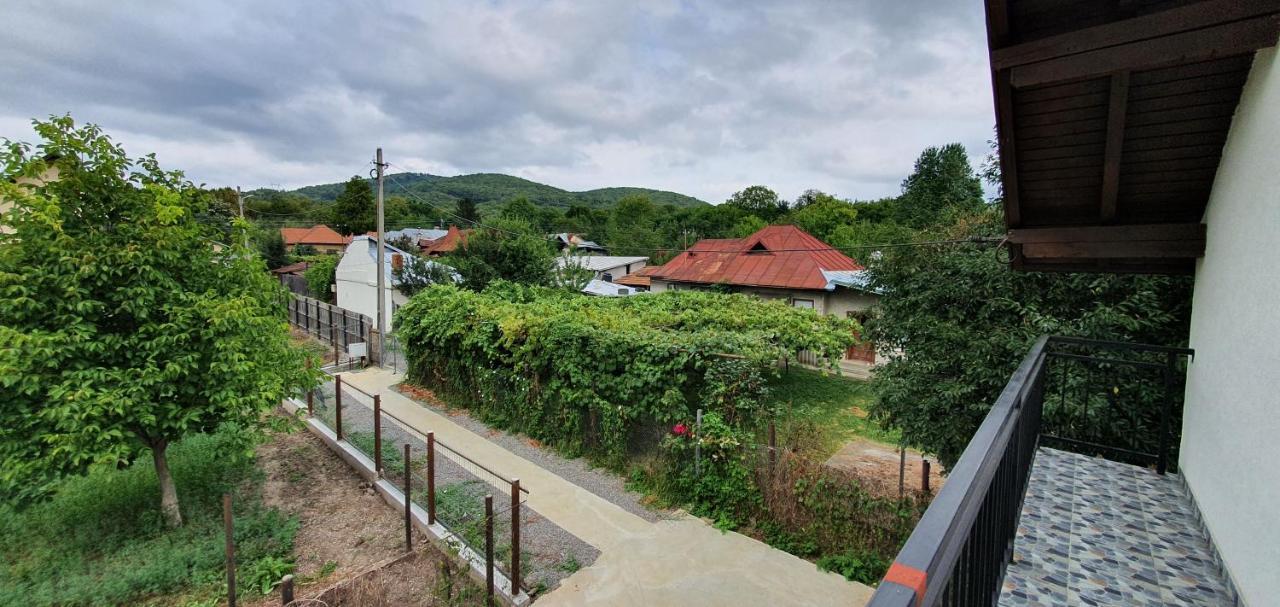 Green Nest Băneşti Exteriér fotografie